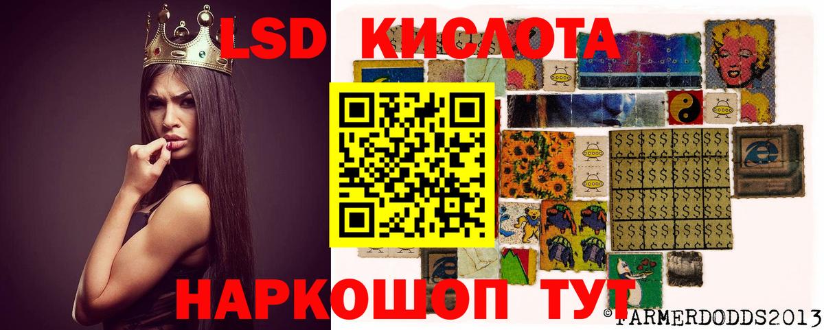 Камышлов  LSD-25 экстази кислота  OMG зеркало  Лсд 25 экстази кислота  Вход с VPN 