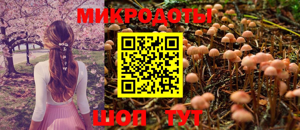Галлюциногенные грибы GOLDEN TEACHER Камышлов