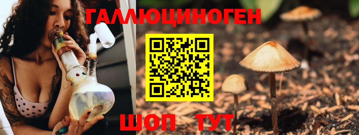 Камышлов  Псилоцибиновые грибы Magic Shrooms  Вход с VPN 